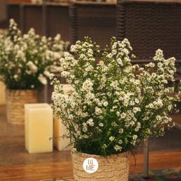 WhatsApp Image 2018-06-20 at 16.27.01 WhatsApp Image 2018-06-20 at 16.27.01